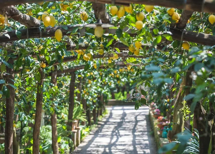 Agriturismo Il Giardino Di Vigliano
