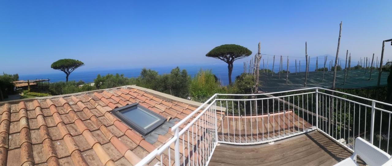 Il Giardino Di Vigliano Bauernhof Massa Lubrense