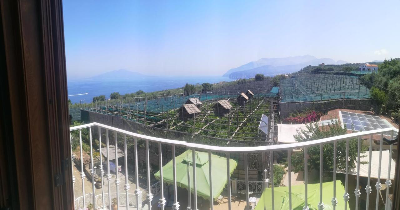 Il Giardino Di Vigliano