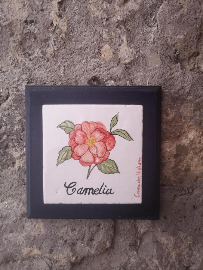 Bauernhof Il Giardino Di Vigliano Massa Lubrense