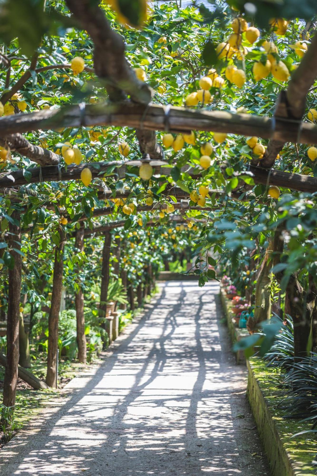 Bauernhof Il Giardino Di Vigliano *