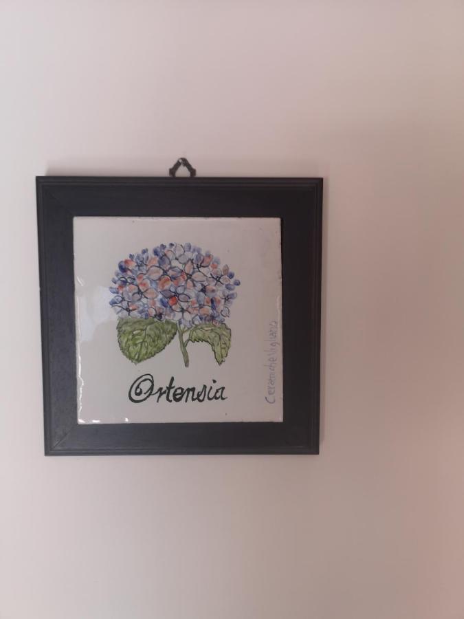 Il Giardino Di Vigliano * Massa Lubrense