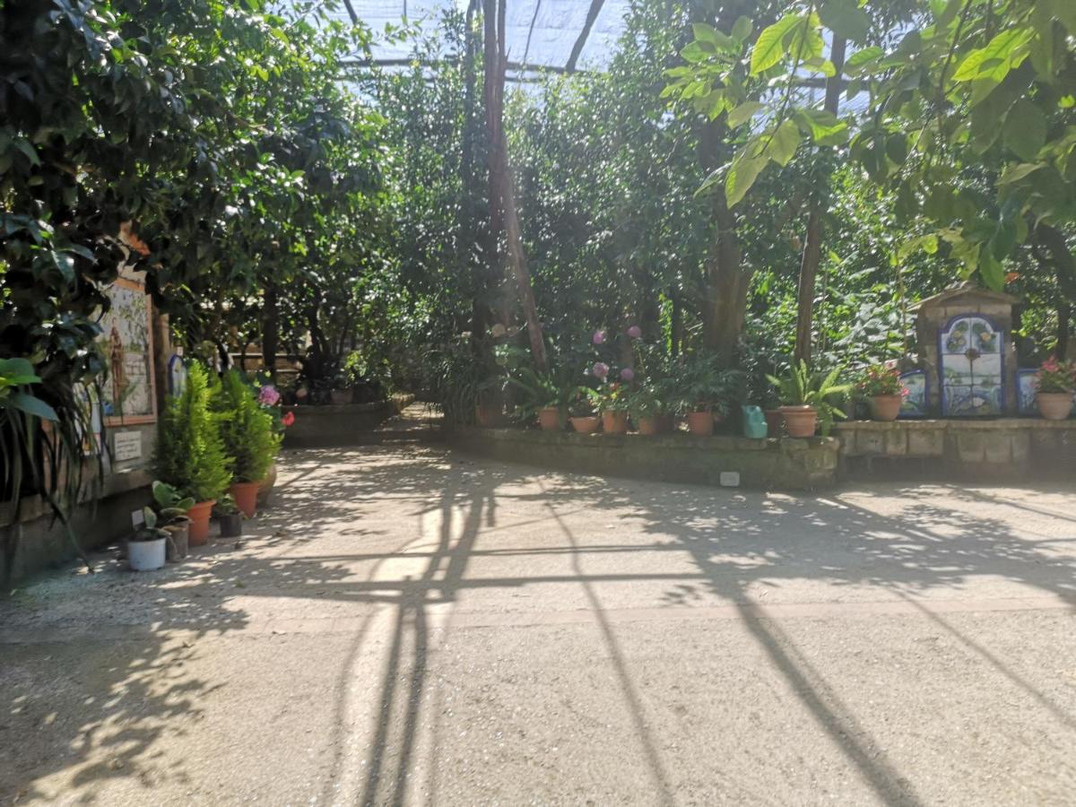 Vakantieboerderij Il Giardino Di Vigliano Massa Lubrense