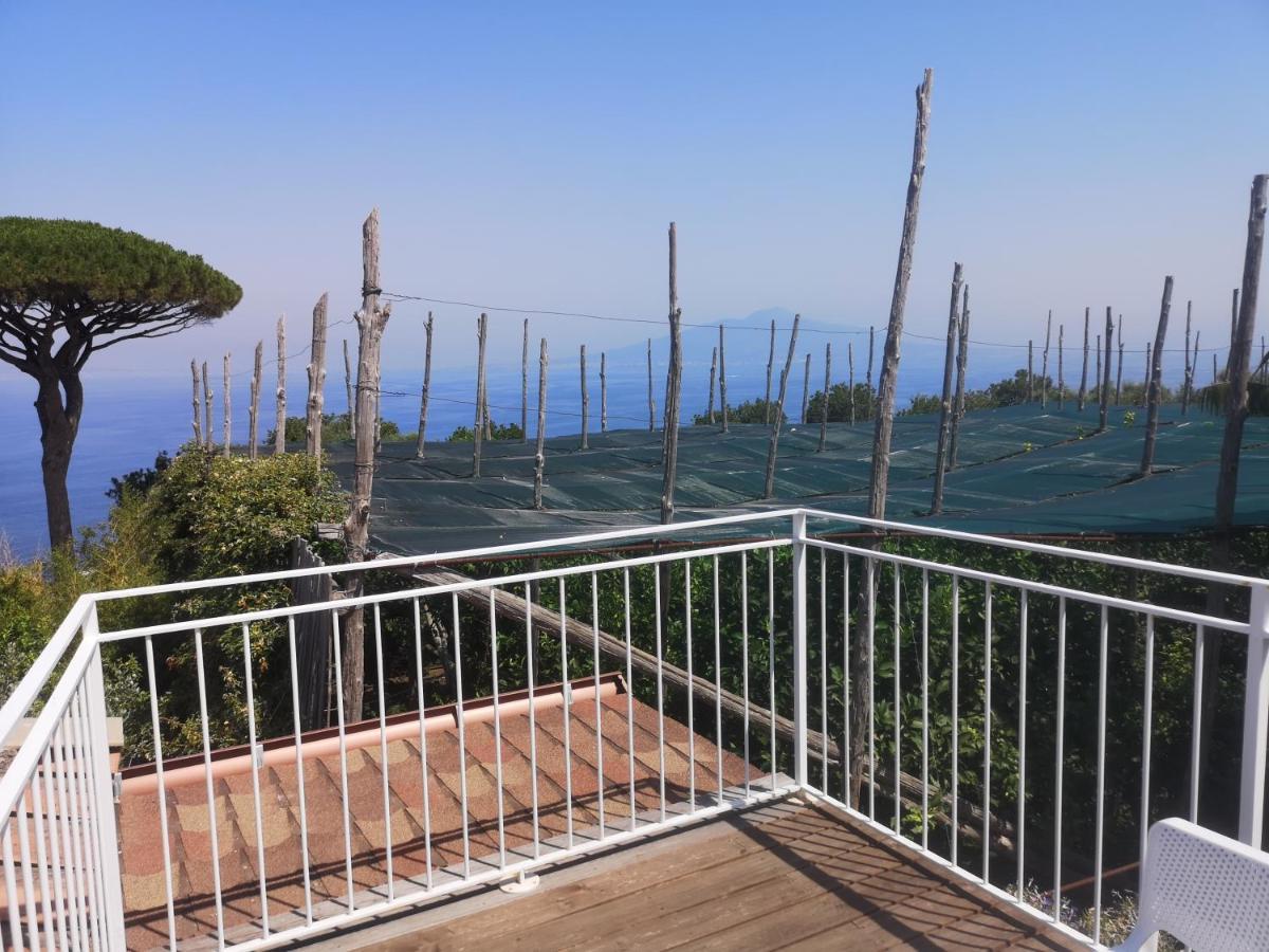 Il Giardino Di Vigliano Vakantieboerderij *
