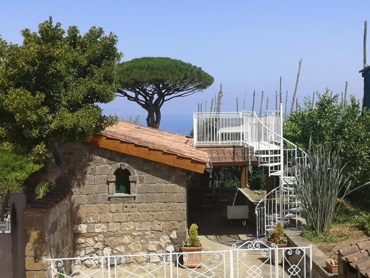 Il Giardino Di Vigliano Vakantieboerderij Massa Lubrense