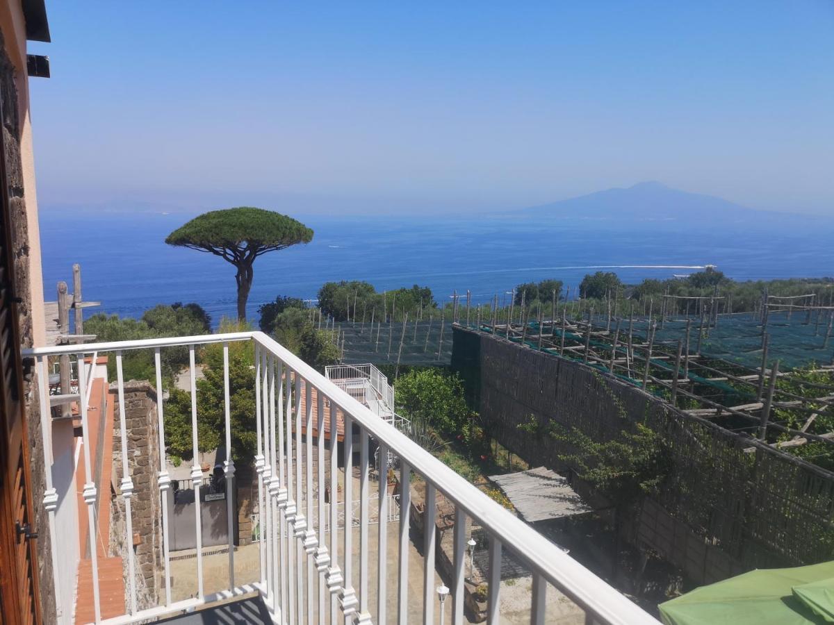 Il Giardino Di Vigliano